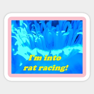 RAT RACE Sticker